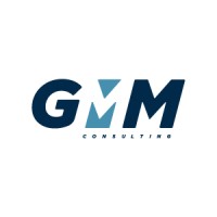 GMM Consulting logo - Similar company to Netship S.R.L.