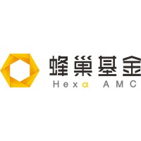 Hexa Asset Management Company logo - Similar company to Dere Street Capital