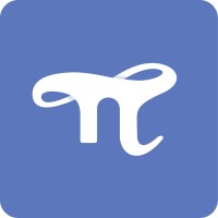 PiSight Group logo - Similar company to Appnomic
