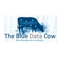 The Blue Data Cow logo - Similar company to Seada Technology Ltd