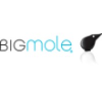 Bigmole logo - Similar company to Mamut Lab