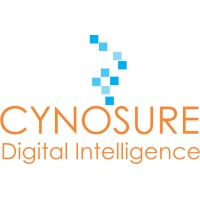 Cynosure Digital Intelligence logo - Similar company to Checkrewards