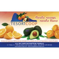 SDAD. COOP. AND. DEL CAMPO SAN MARTIN DEL TESORILLO logo - Similar company to Giardina, S.L.