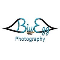 BluEgg Photography logo - Similar company to Temple Terrace Uptown Chamber Of Commerce
