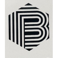 Brigantia Fire Ltd logo - Similar company to Sonic Fire Tech