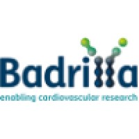 Badrilla logo - Similar company to Aah Software Limited