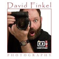 David Finkel Photography
