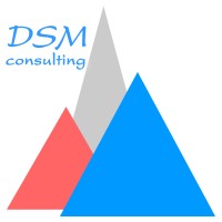 DSM-consulting logo - Similar company to Dsm Consulting Group