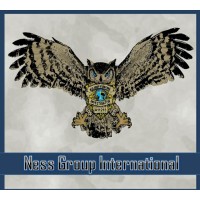 Ness Group International logo - Similar company to Ashley
