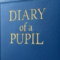 The Pupils Newsletter logo - Similar company to Fortible