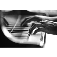 The Pianist logo - Similar company to Pianistas