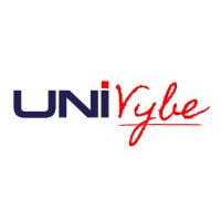 Univybe logo - Similar company to Anic Digital