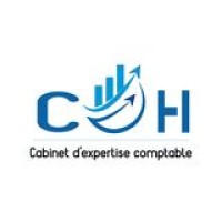 CCoh-Consulting logo - Similar company to Snj Cabinet D'Expertise Comptable