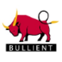 Bullient Technology