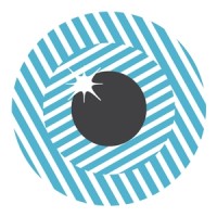 BHVI logo - Similar company to Learn Beyond Vision