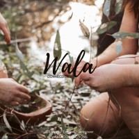 Wala Connections