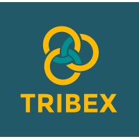 Tribex Consulting logo - Similar company to Izzdone Consulting
