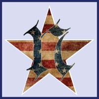 Neelamerica, LLC logo - Similar company to Private Equity Advisory & Consulting