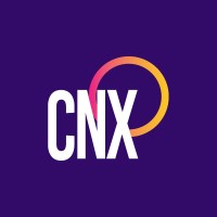 CNX logo - Similar company to Cnxline - Negócios E Franquias.