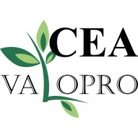 CEA VALOPRO - Officiel logo - Similar company to Leiff