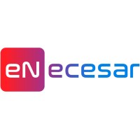 eNecesar logo - Similar company to The Decade Plan