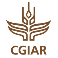 CGIAR Research Program on Dryland Systems logo - Similar company to Turtleponics
