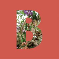 Byggstudio