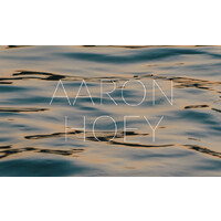 Aaron Hoey Consulting LLC logo - Similar company to Magicbox