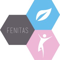 Fenitas logo - Similar company to Bsl Studios