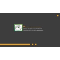 IBISC logo - Similar company to Ibsc Sia