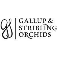 Gallup and Stribling Orchids, Inc. logo - Similar company to Camflor, Inc.
