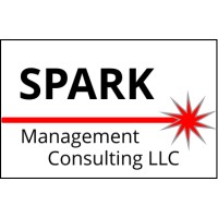SPARK Management Consulting logo - Similar company to Spark Management Consultancy Private Limited