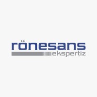 Rönesans Ekspertiz logo - Similar company to Masterway