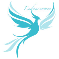 ENDONESCENCE logo - Similar company to Aussitauxpret