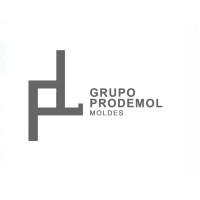 Grupo Prodemol Moldes logo - Similar company to Stem Ime - Girls To Girls