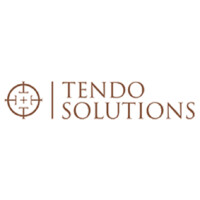 Tendo Solutions logo - Similar company to Commercially Wright Ltd