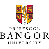 Bangor University, International logo - Similar company to Bangor University Employability | Prifysgol Bangor Cyflogadwyedd