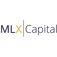 MLX Capital logo - Similar company to Gaimes Lab