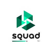 Squad BI logo - Similar company to Squadbi