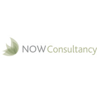 NOW CONSULTANCY LTD logo - Similar company to Accite Systems