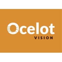 Ocelot Vision logo - Similar company to Wolf Learning Consulting