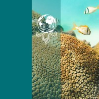 Eco-Conscious Diver logo - Similar company to Plantbased Solutions