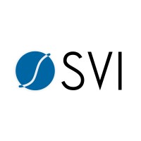 Software Ventures International logo - Similar company to Simpledmca