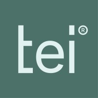 Group TEI logo - Similar company to Onekeg, S.L.
