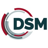 DSM - Data Storage & Management logo - Similar company to Webdevbuilders Ltd