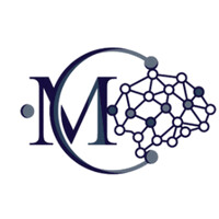 Magna GenAI Consulting LLC logo - Similar company to Cognisum