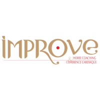 Improve logo - Similar company to Cre Expertises - Créé Depuis 2006