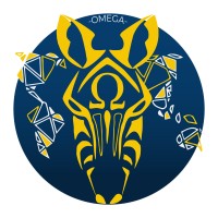 BDI Ωmega logo - Similar company to Focus Brasil Foundation