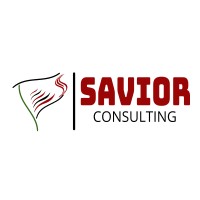 Savior Consulting logo - Similar company to Savior Products, Inc.