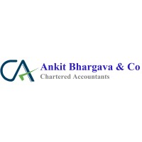 Ankit Bhargava & Co logo - Similar company to Twamevaglobal